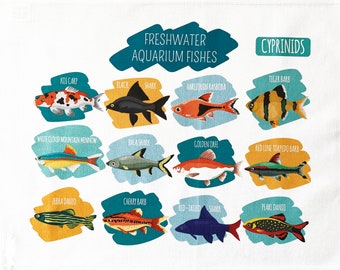 Freshwater Aquarium Fishes - Large Cotton Tea Towel