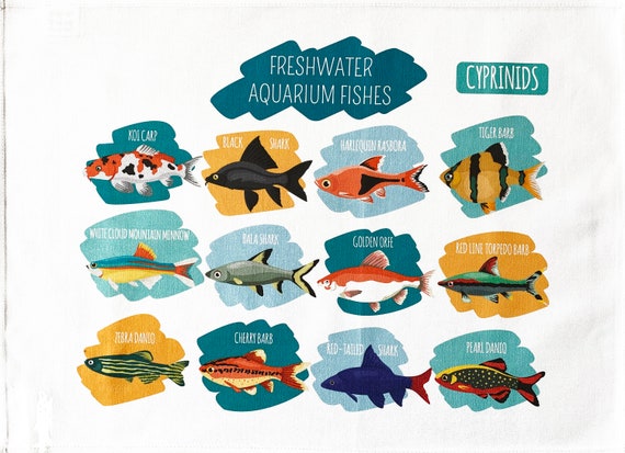 Freshwater Aquarium Fishes - Large Cotton Tea Towel