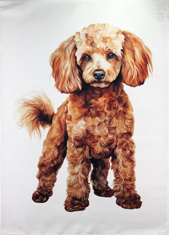 Miniature Poodle large cotton tea towel