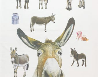 Donkey Sanctuary Tea Towel: Farm Animal Print Kitchen Decor