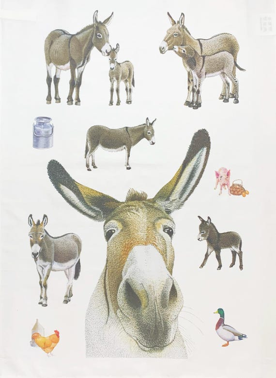The Donkey sanctuary large cotton tea towel.  measures 65 centimetres in length by 47 centimetres in width