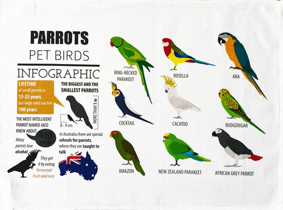 The Parrot Infographic - Large Cotton Tea Towel