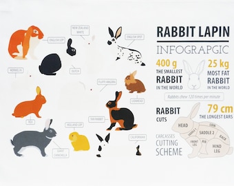 Rabbit Infographic - Large Cotton Tea Towel