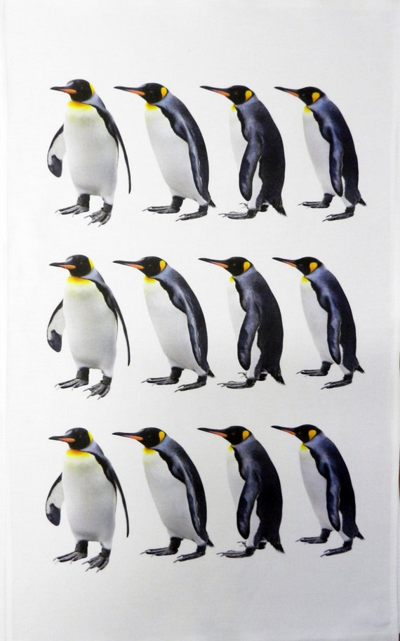 The King Penguins Large Cotton Tea Towel