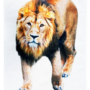 The Lion - Big Cat Large Cotton Tea Towel