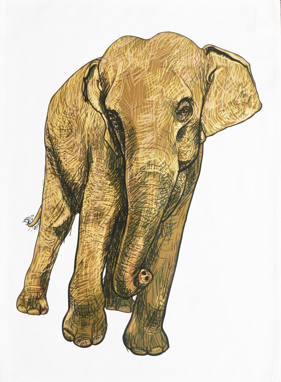 The handdrawn Elephant - Large Cotton Tea Towel
