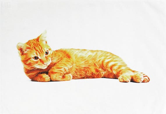 The Big Ginger Cat - Large Cotton Tea Towel by Half a Donkey