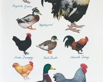 Richard Partis Designs