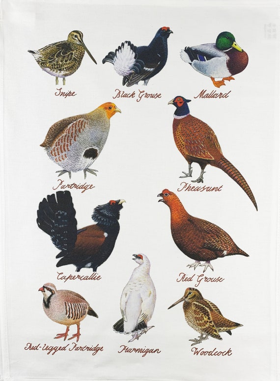 Hand Drawn Game Birds Large Cotton Tea Towel