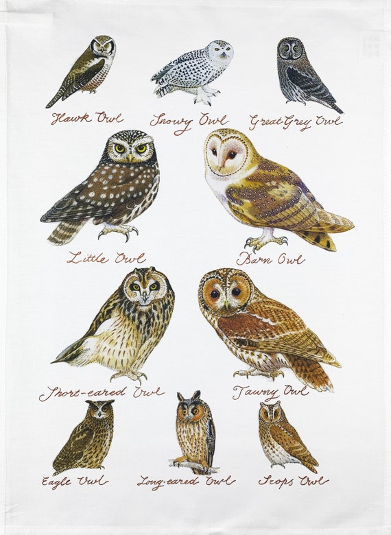 Hand Drawn Owls Collection Large Cotton Tea Towel
