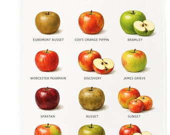 British Apples Guide Cotton Tea Towel – Illustrated Fruit Kitchen Decor