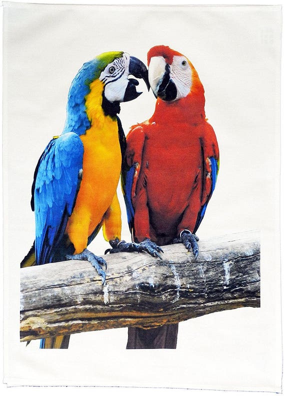 The Pair of Love Bird Parrots - Large Cotton Tea Towel
