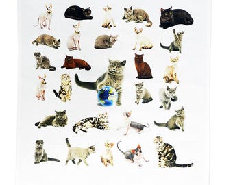 The Cat Collection Large Cotton Tea Towel