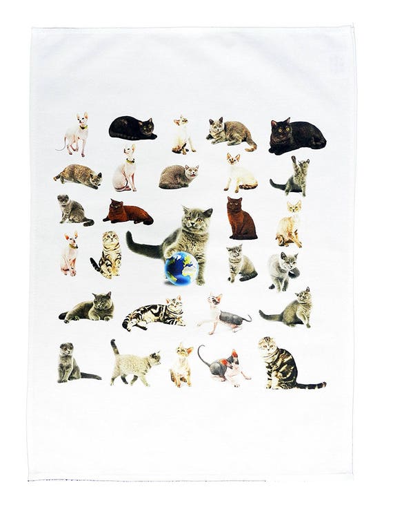 The Cat Collection Large Cotton Tea Towel