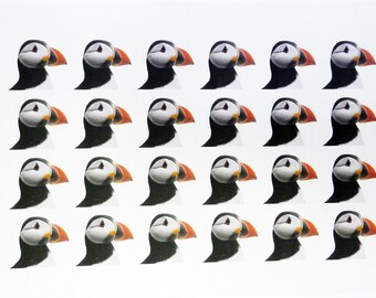 Puffin Heads Cotton Tea Towel