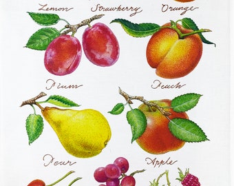 The Hand Drawn Fruit Collection Large Cotton Tea Towel