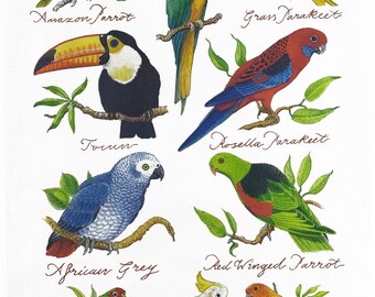 Hand Drawn Tropical Birds Collection Large Cotton Tea Towel