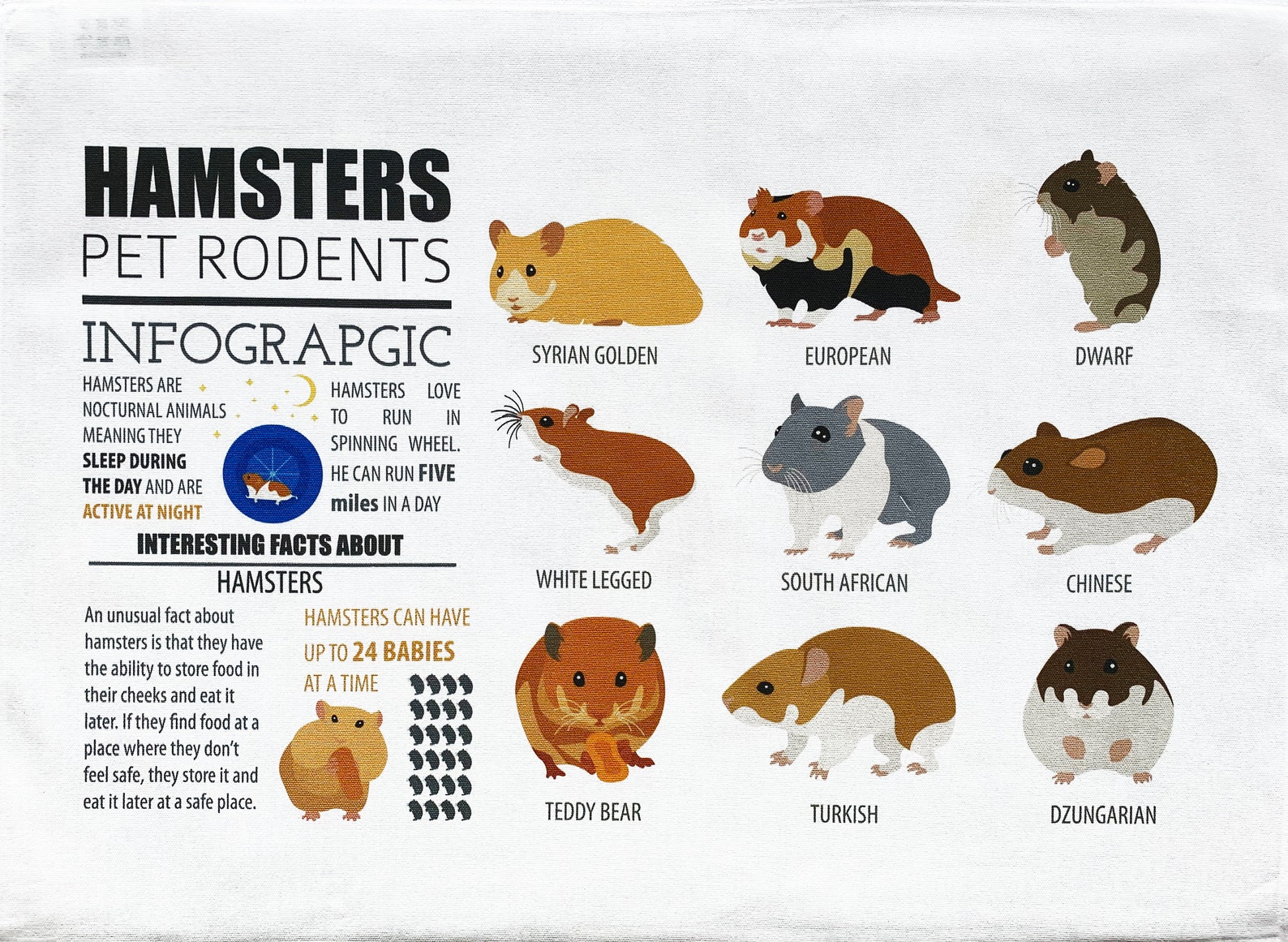 Breeds of Hamster Infographic Large Cotton Tea Towel Etsy UK