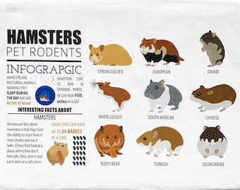 Breeds of Hamster Infographic Large Cotton Tea Towel