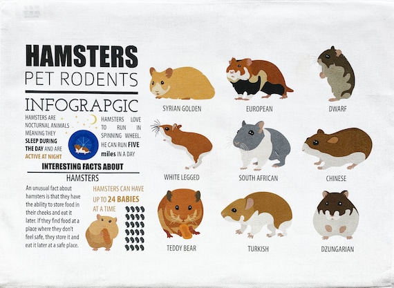 Breeds of Hamster Infographic Large Cotton Tea Towel 