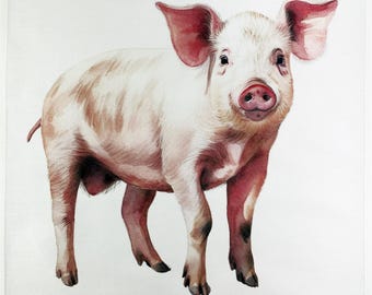 This little Piggy large cotton tea towel