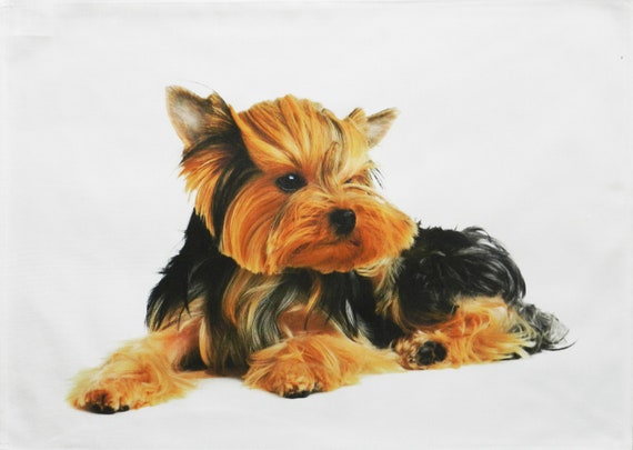 Yorkshire Terrier Puppy Large Cotton Tea Towel