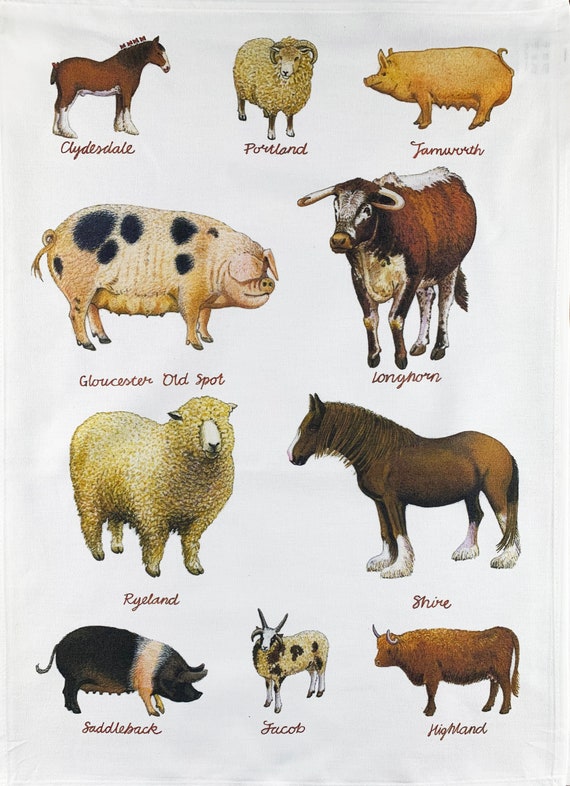 Rare Breeds of Farm Animals Large Cotton Tea Towel
