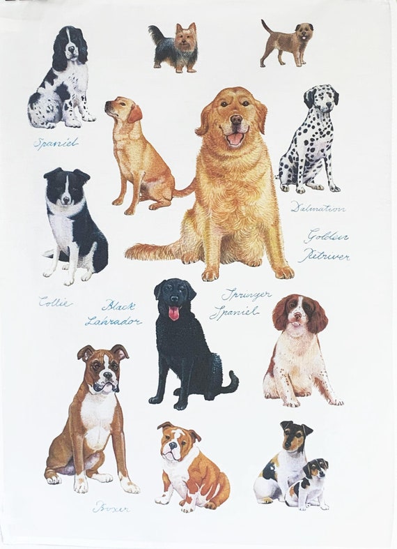 Show Dogs Large Cotton Tea Towel