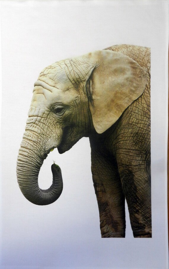 Traditional Elephant Pose Cotton Tea Towel