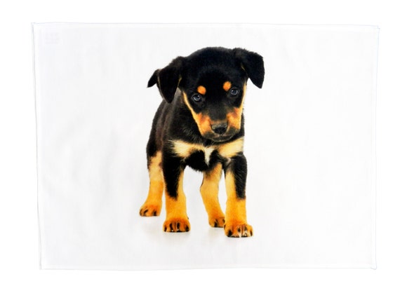 The Rottweiler Puppy - Large Cotton Tea Towel
