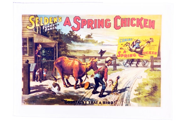 A Spring Chicken - Retro Style Theatre Poster Style Large Cotton Tea Towel