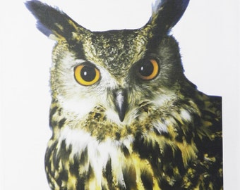 Owl Face Cotton Tea Towel
