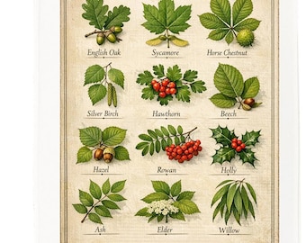 Types of British Leaf cotton tea towel