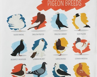 Breeds of Pigeon - Large Cotton Tea Towel