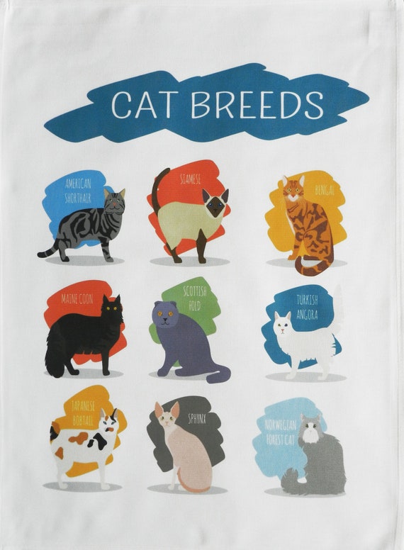 Breeds of Cat Large Cotton Tea Towel