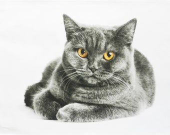 The Grey Cat Large Cotton Tea Towel