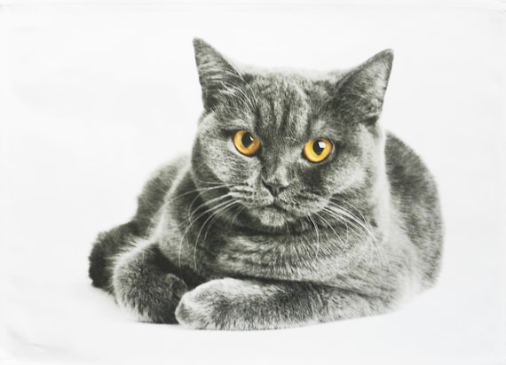 The Grey Cat Large Cotton Tea Towel