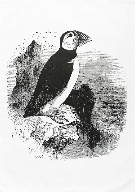 Retro Style Hand Drawn Puffin on a cliff - Large Cotton Tea Towel