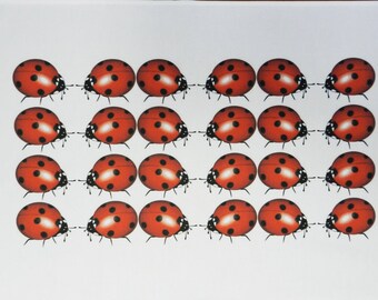 Large Cotton Tea Towel covered with Ladybirds