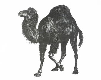 The Retro Style Camel - Large Cotton Tea Towel