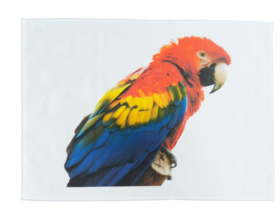 Multi-Coloured Macaw Bird - Large Cotton Tea Towel