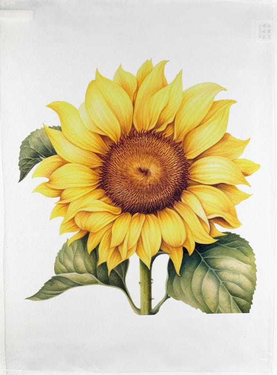 The Big Yellow Sunflower Head large cotton tea towel