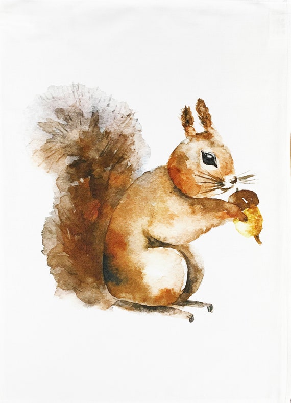 The Watercolour Red Squirrel - Large Cotton Tea Towel