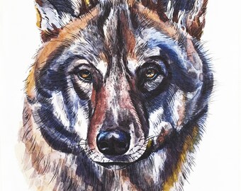 Portrait of a Wolf Large Cotton Tea Towel