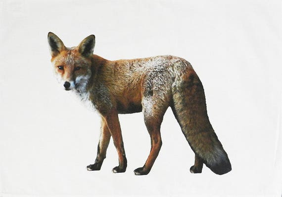The Big Ginger Fox - Large Cotton Tea Towel