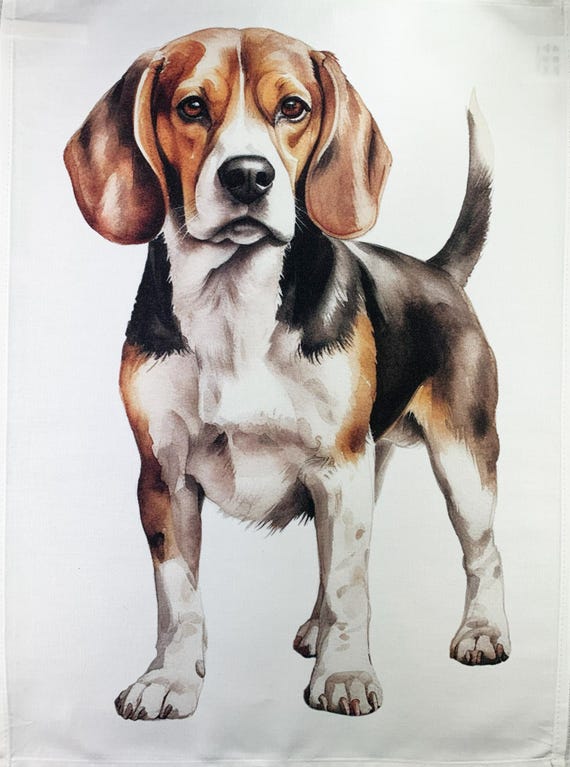 The Beagle large cotton tea towel