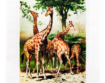 Vintage Poster of a Tower of Giraffes - Large Cotton Tea Towel