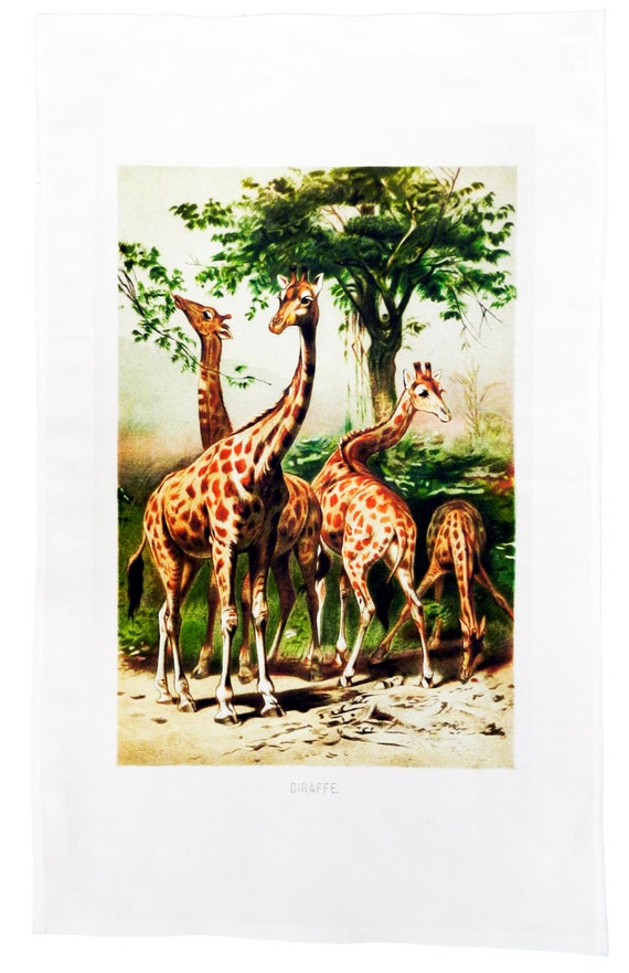 Vintage Poster of a Tower of Giraffes - Large Cotton Tea Towel