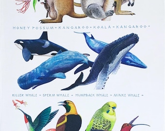 Native Animals of Australia and the Tropics large cotton tea towel