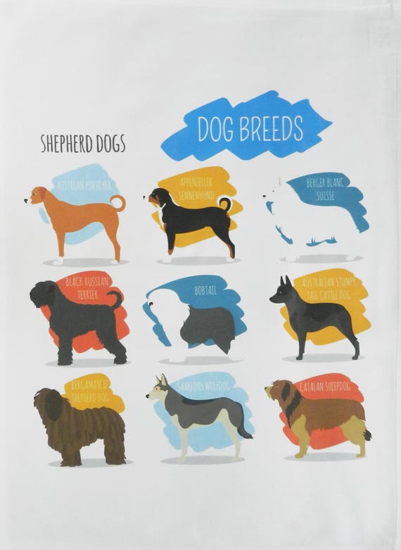 Breeds of Shepherd Dogs -Large Cotton Tea Towel